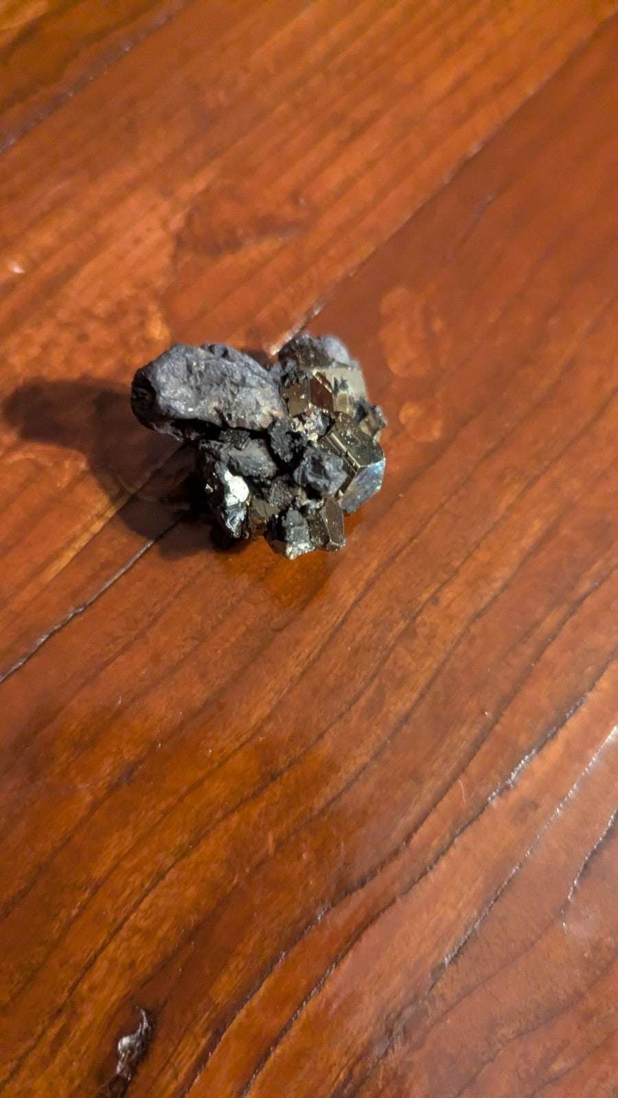 35G Natural Chalcopyrite Crystal Cluster Mineral Specimen Reiki | Crystal Arborist