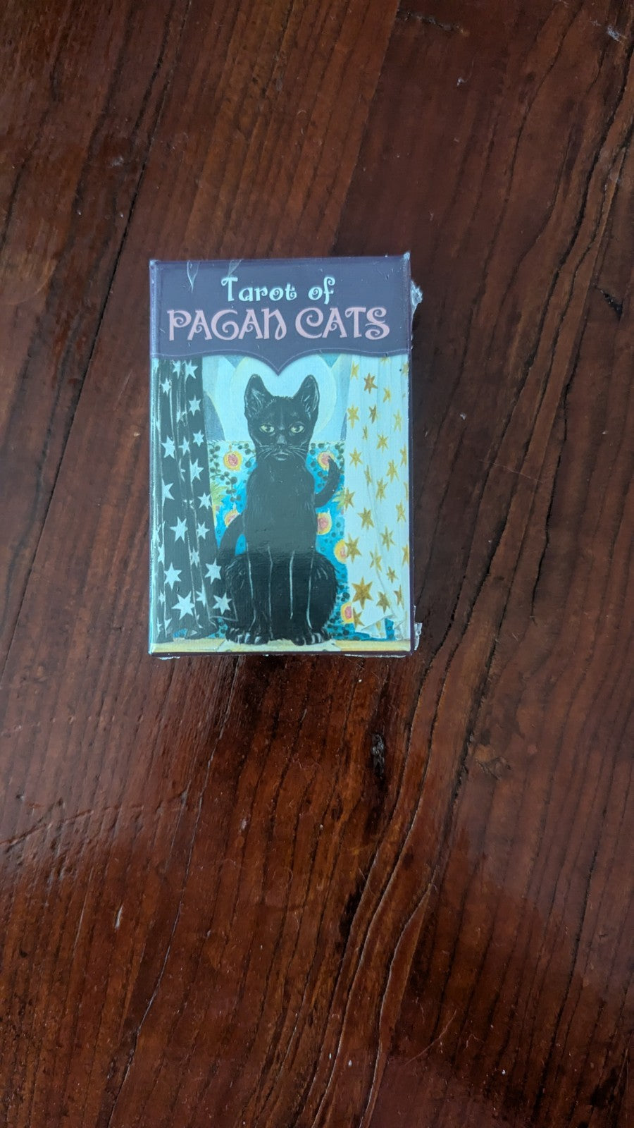 Pagan Cats Mini Tarot Card Deck