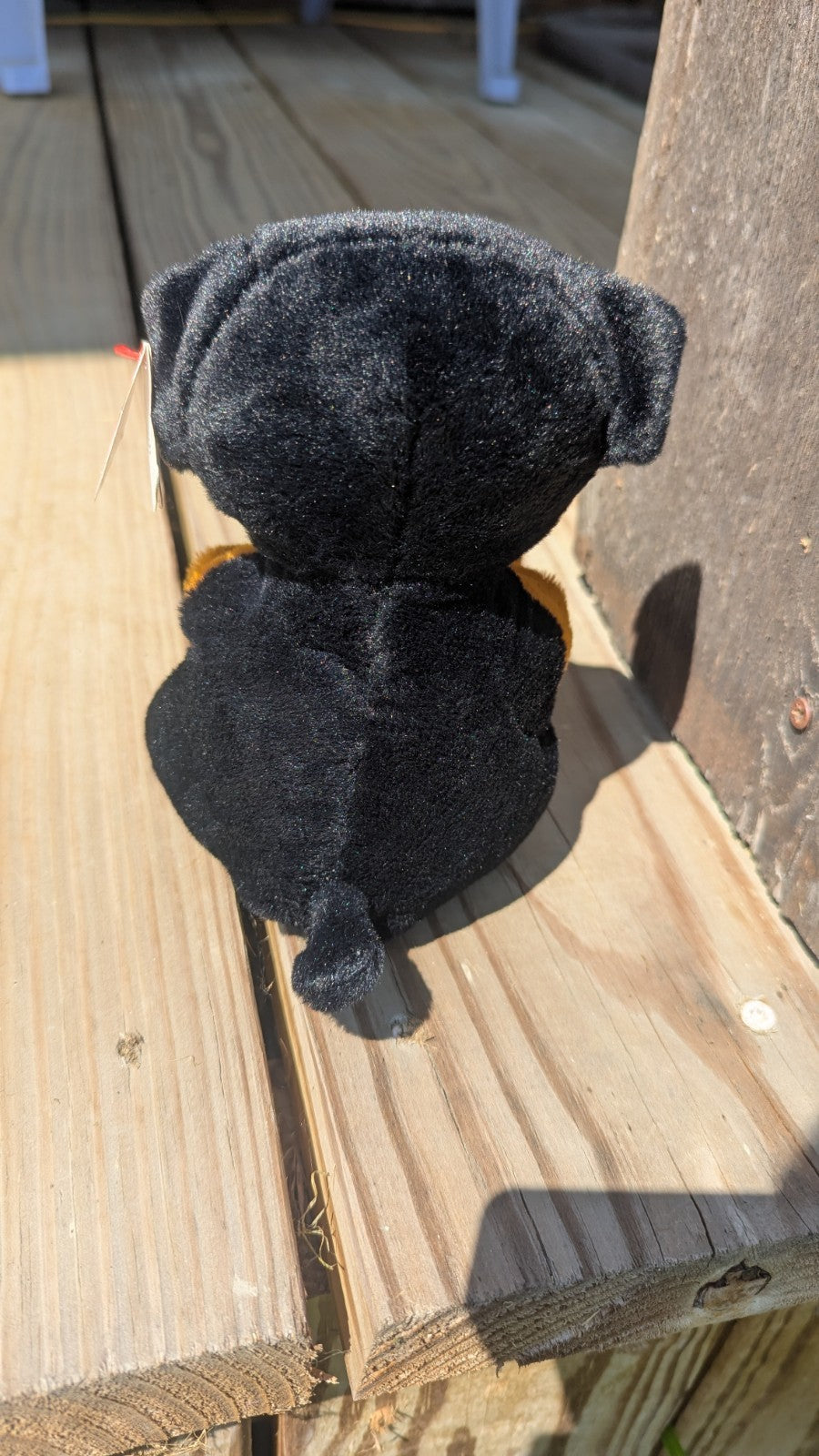 Randi, Teenie Beanie Baby, Beanie Belly Plush Dog, Adorable 