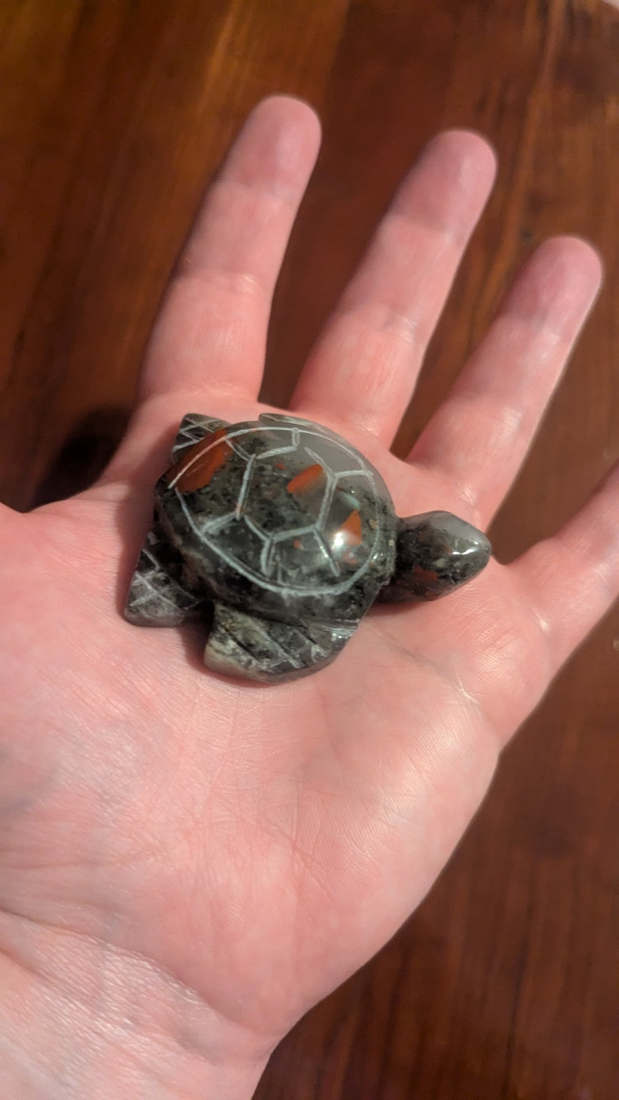 48G Natural African Blood Stone Carving, Turtle, Crystal, Polished Reiki