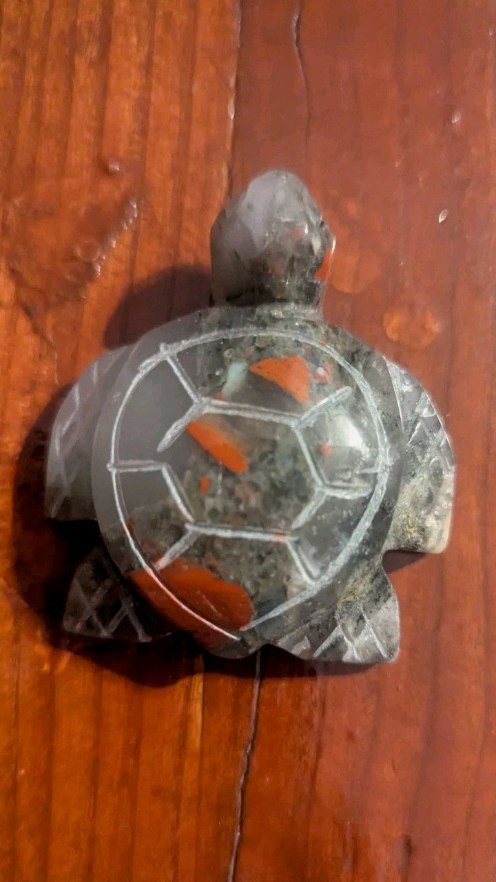 48G Natural African Blood Stone Carving, Turtle, Crystal, Polished Reiki