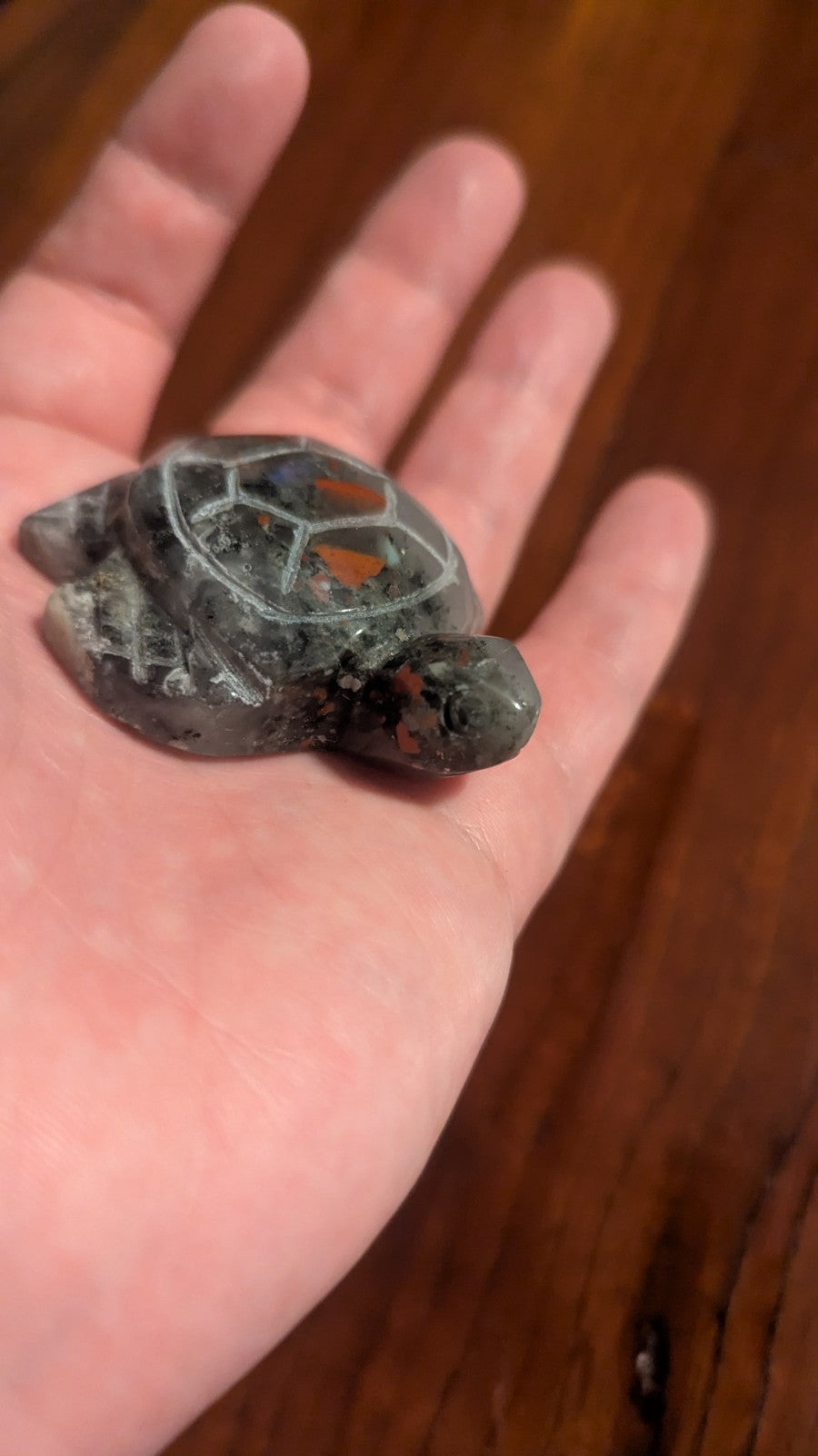 48G Natural African Blood Stone Carving, Turtle, Crystal, Polished Reiki