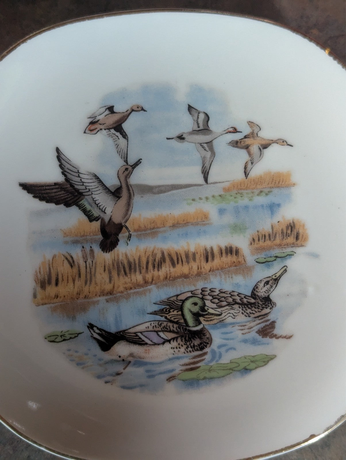 Vintage 1964 Louis Hartley Mallards Teals and Pintails Duck Plates, Wall Decor