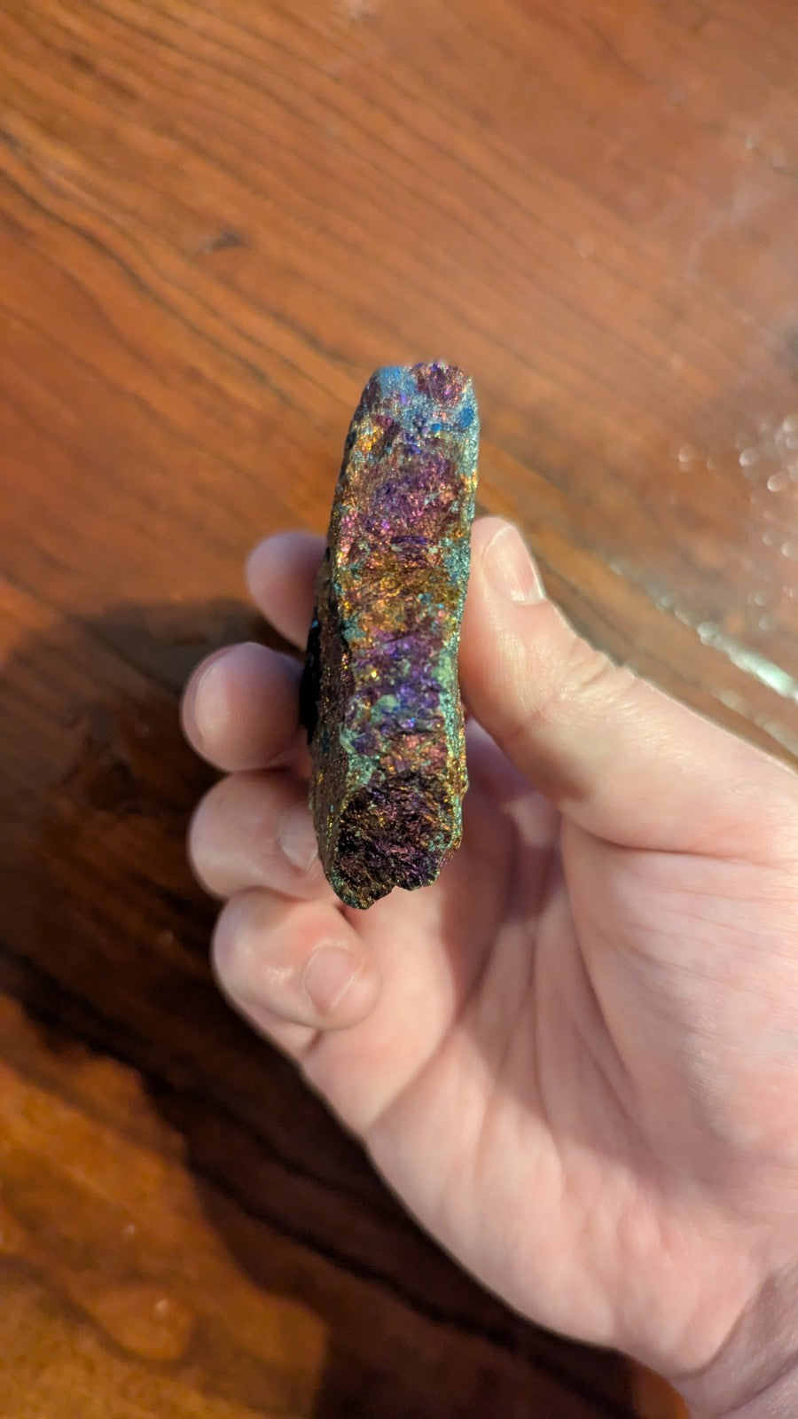 141G Natural Bornite, Beautiful, Colorful, Peacock Ore, Raw Specimen, Healing