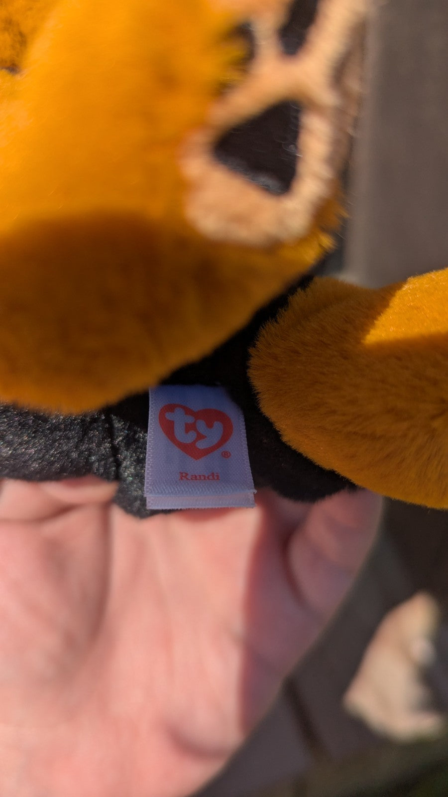 Randi, Teenie Beanie Baby, Beanie Belly Plush Dog, Adorable 