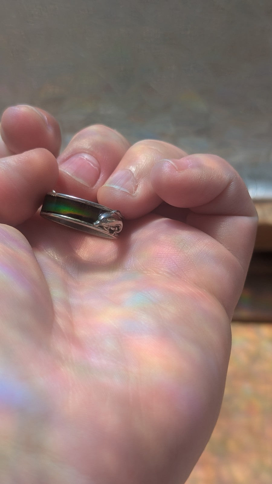 Vintage Dolphin Mood Ring | Crystal Arborist
