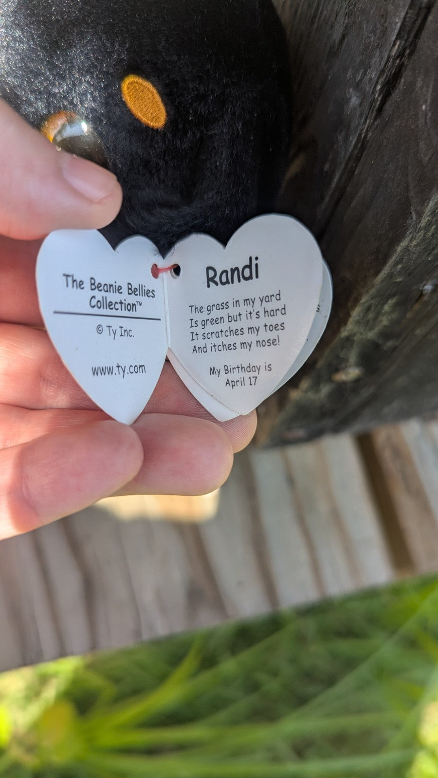 Randi, Teenie Beanie Baby, Beanie Belly Plush Dog, Adorable 
