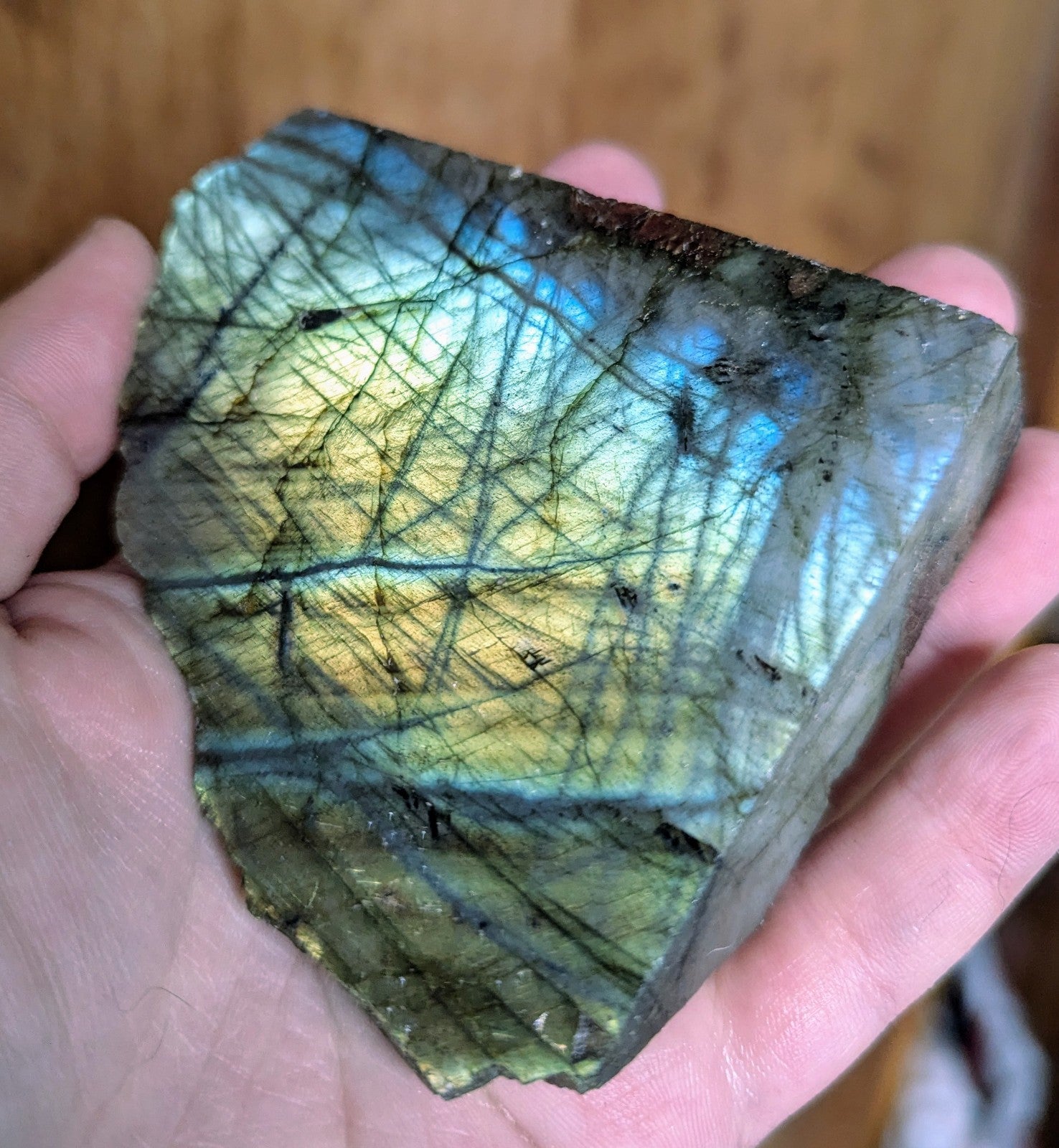 Lapis & Labradorite Gemstone Tree: Wire Art for Protection & Intuition, Reiki