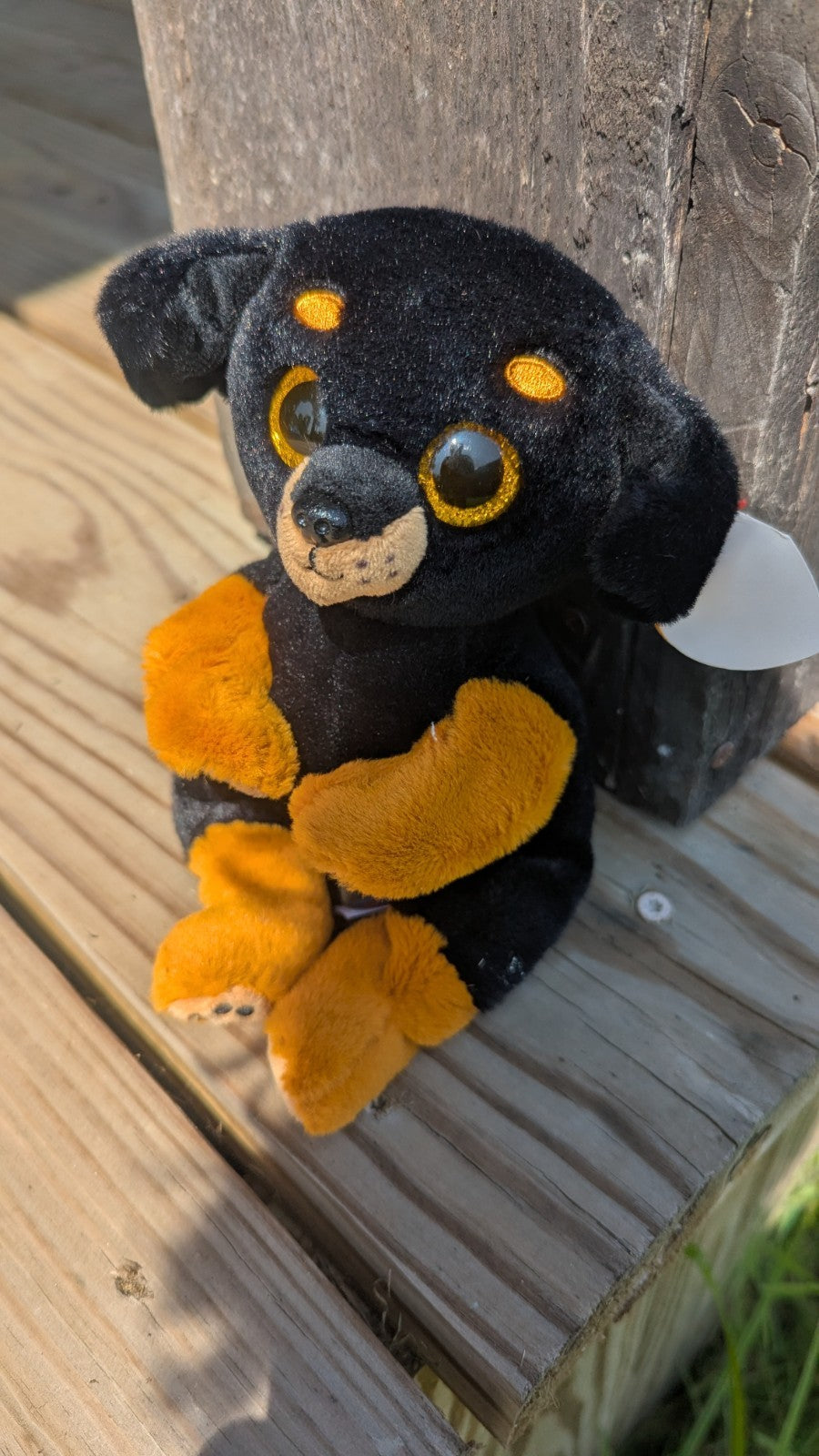 Randi, Teenie Beanie Baby, Beanie Belly Plush Dog, Adorable 