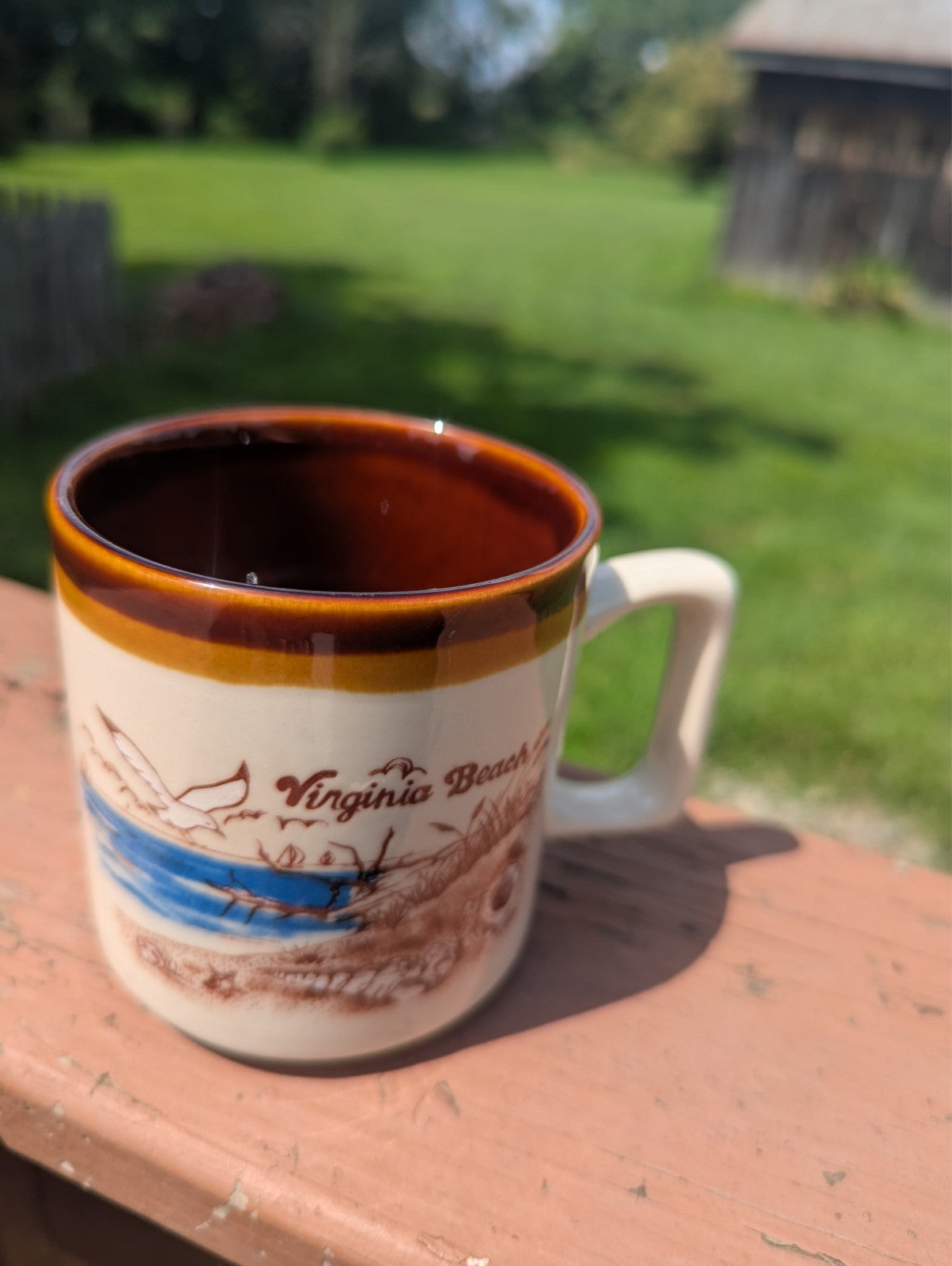 Vintage Virginia Beach Coffee Cup | Crystal Arborist
