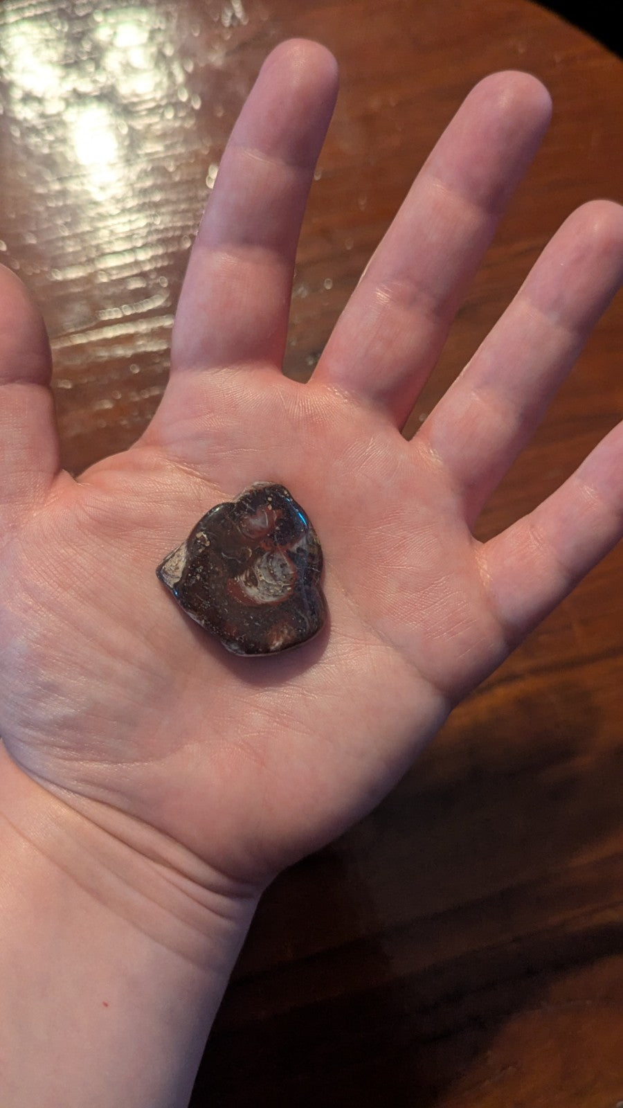 Mary Ellen Jasper | Crystal Arborist