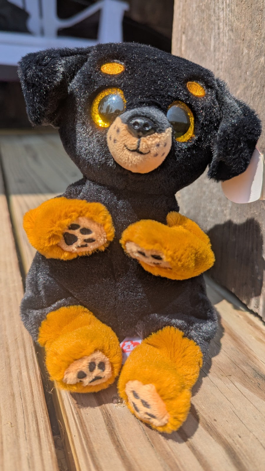 Randi, Teenie Beanie Baby, Beanie Belly Plush Dog, Adorable 