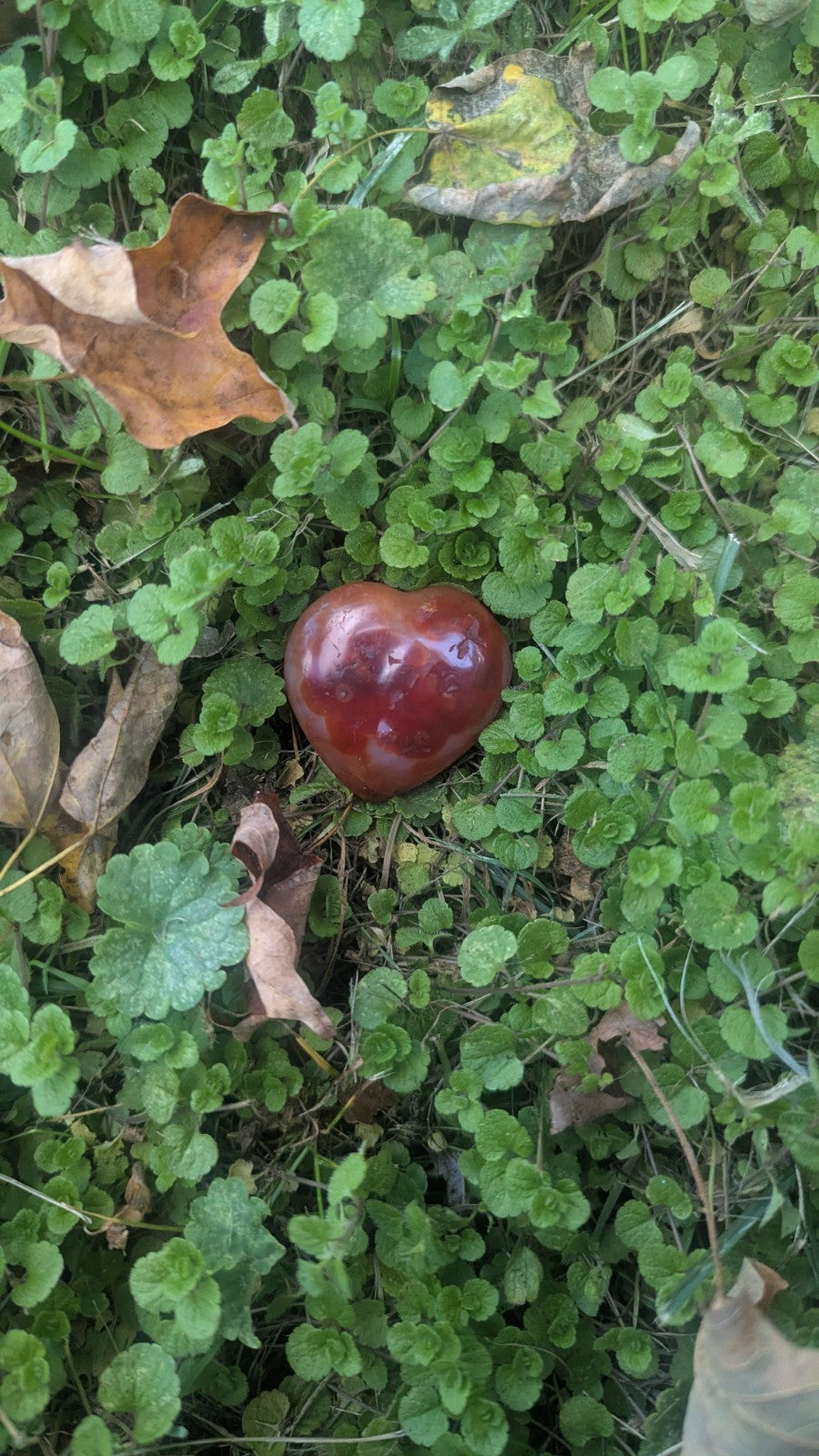 34G Natural Red Silk Agate Heart, Gemstone, Reiki