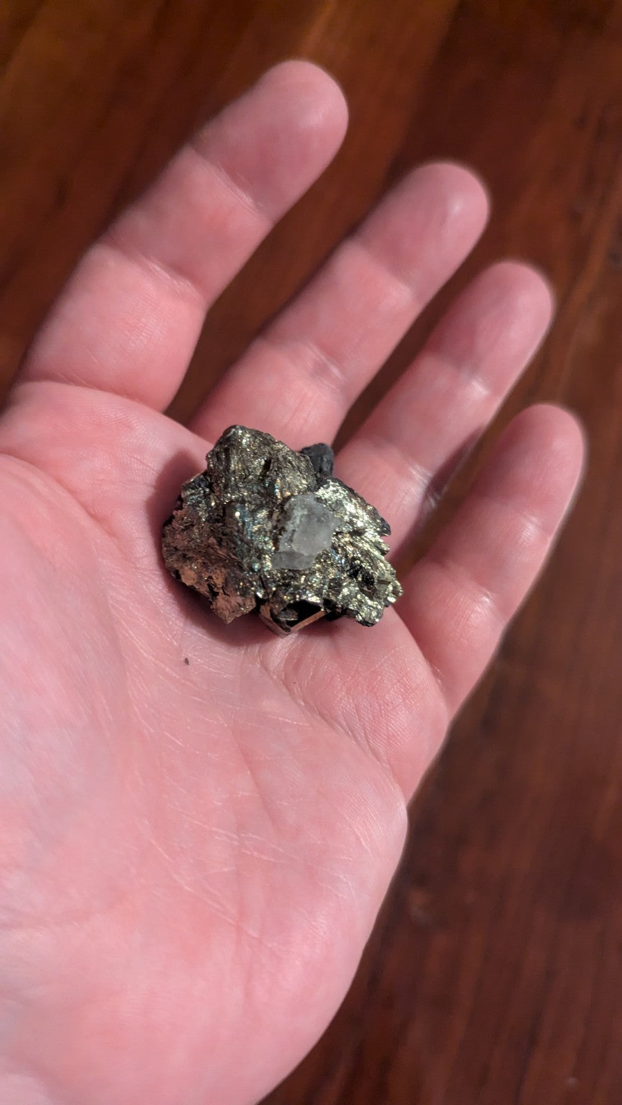 35G Natural Chalcopyrite Crystal Cluster Mineral Specimen Reiki