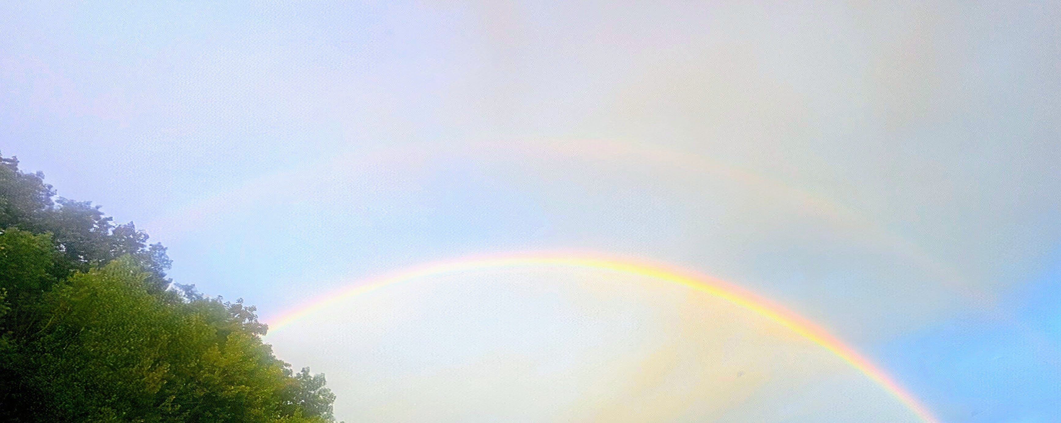 A Double Rainbow against a Blue Misty Sky after the Rain. Green crown of a Tree peeks out the bottom left corner