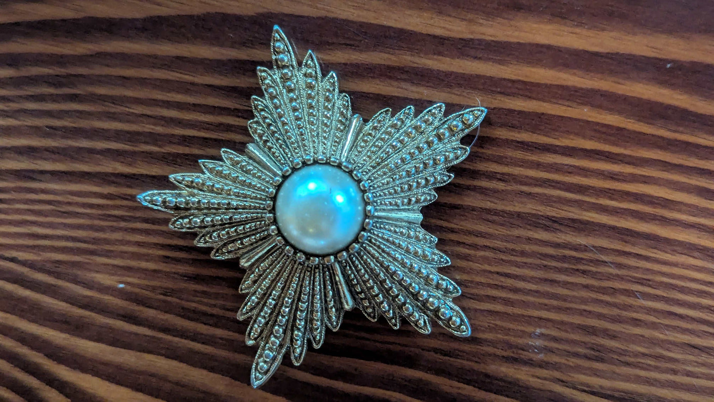Star-Shaped Vintage Pin | Crystal Arborist