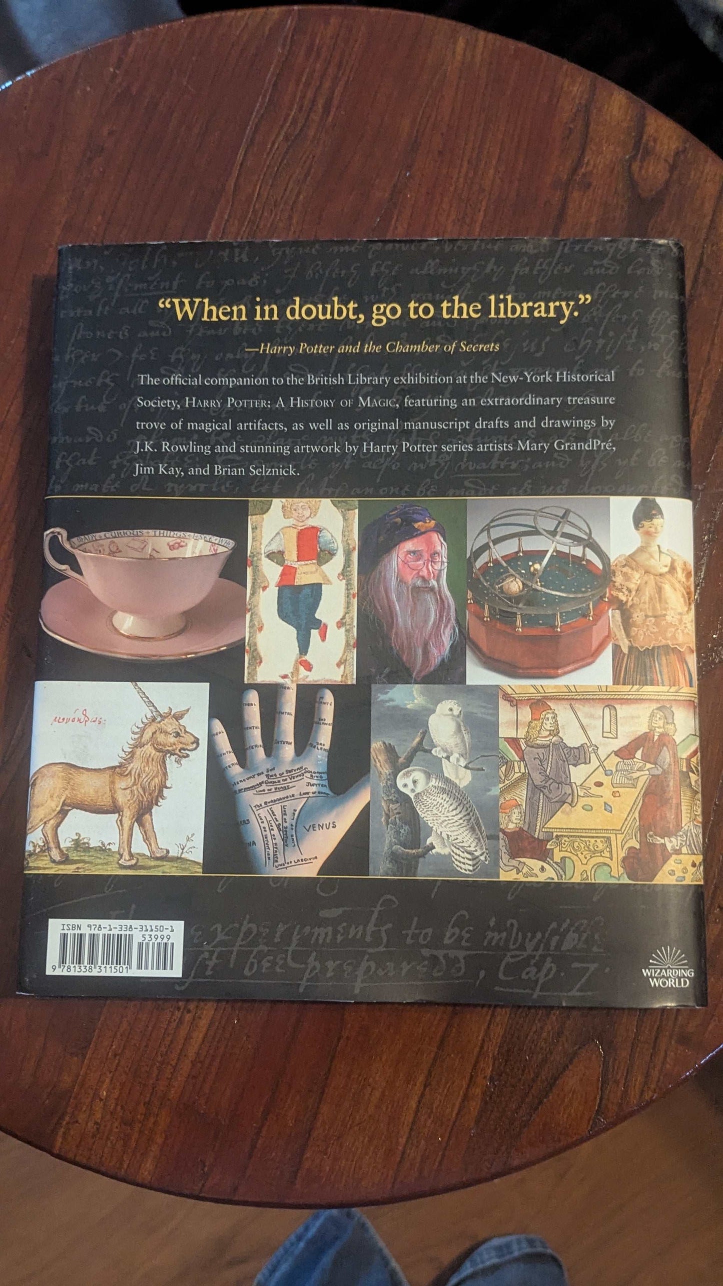Harry Potter: A History of Magic, Hardcover Book | Crystal Arborist