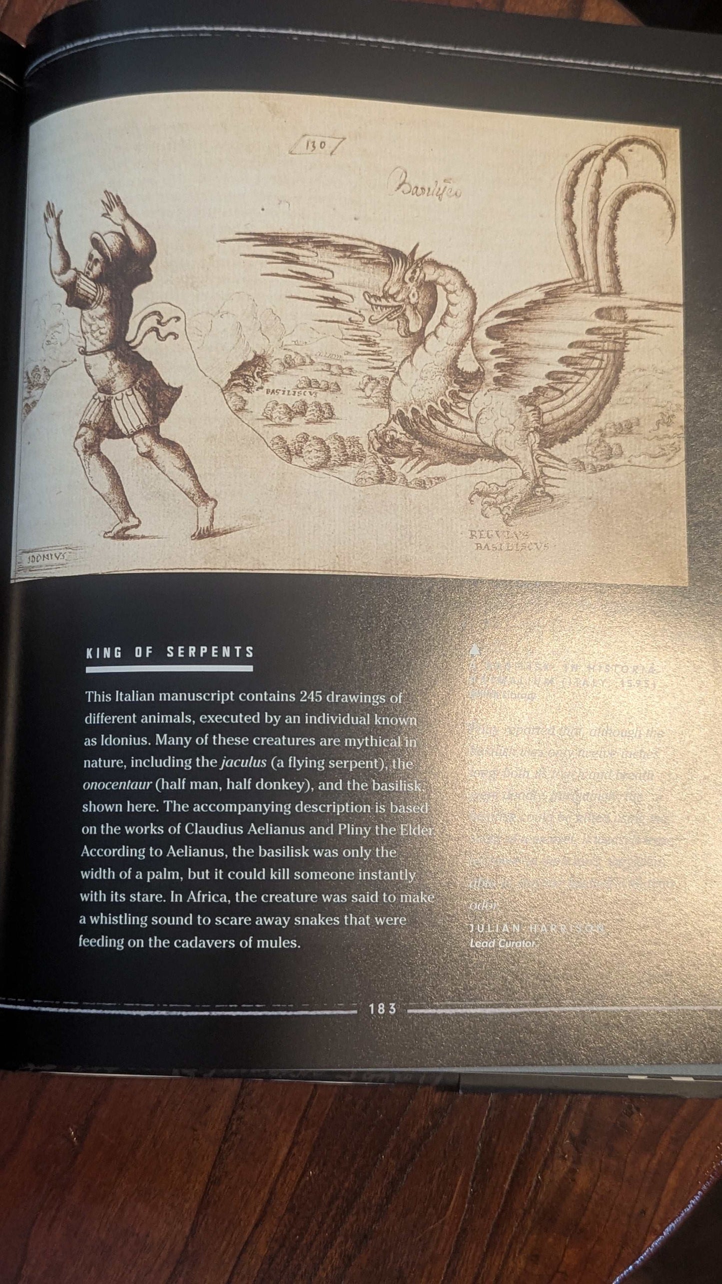 Harry Potter: A History of Magic, Hardcover Book | Crystal Arborist