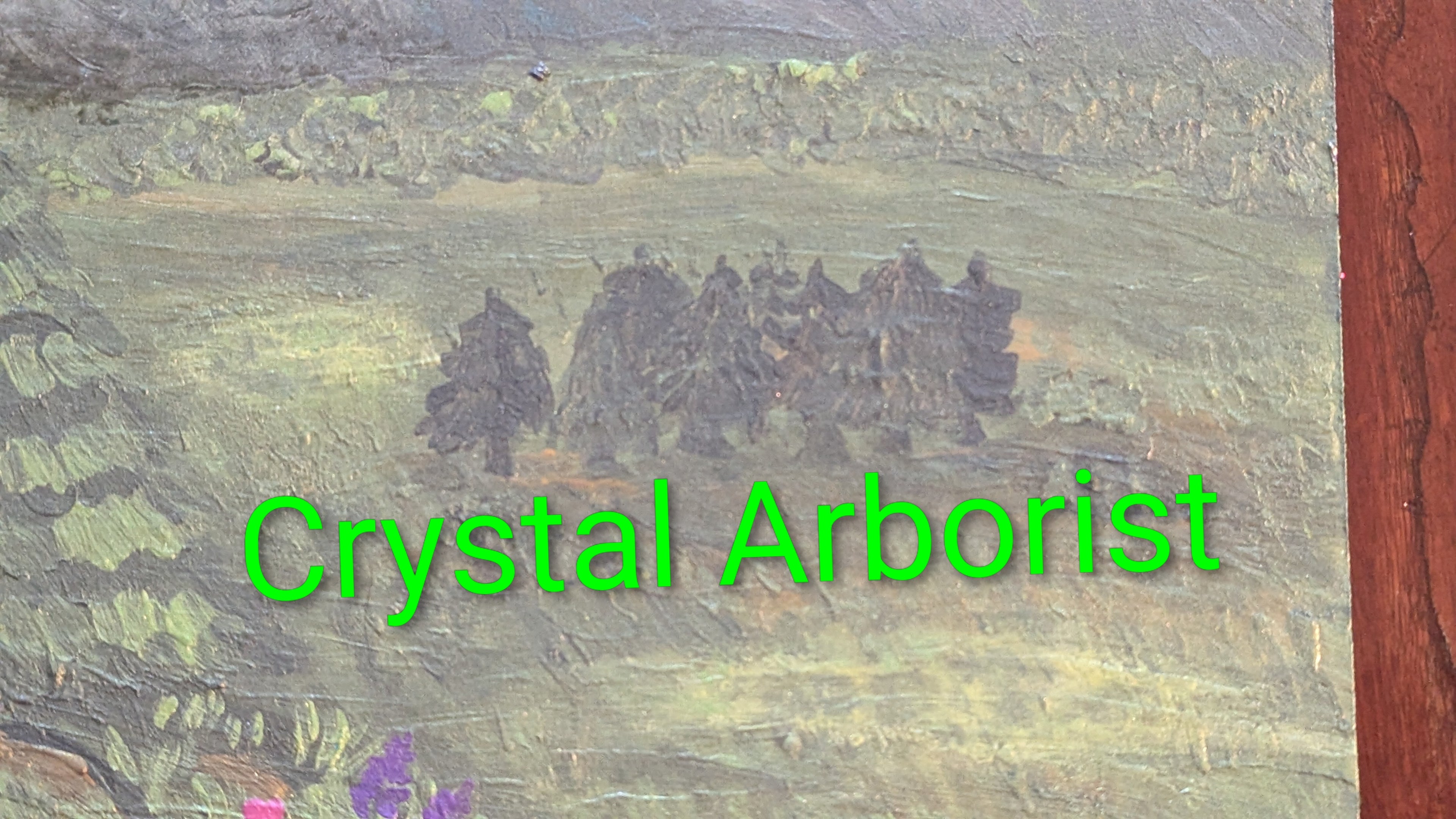 Pines and Distant Mountains - Crystal Arborist
