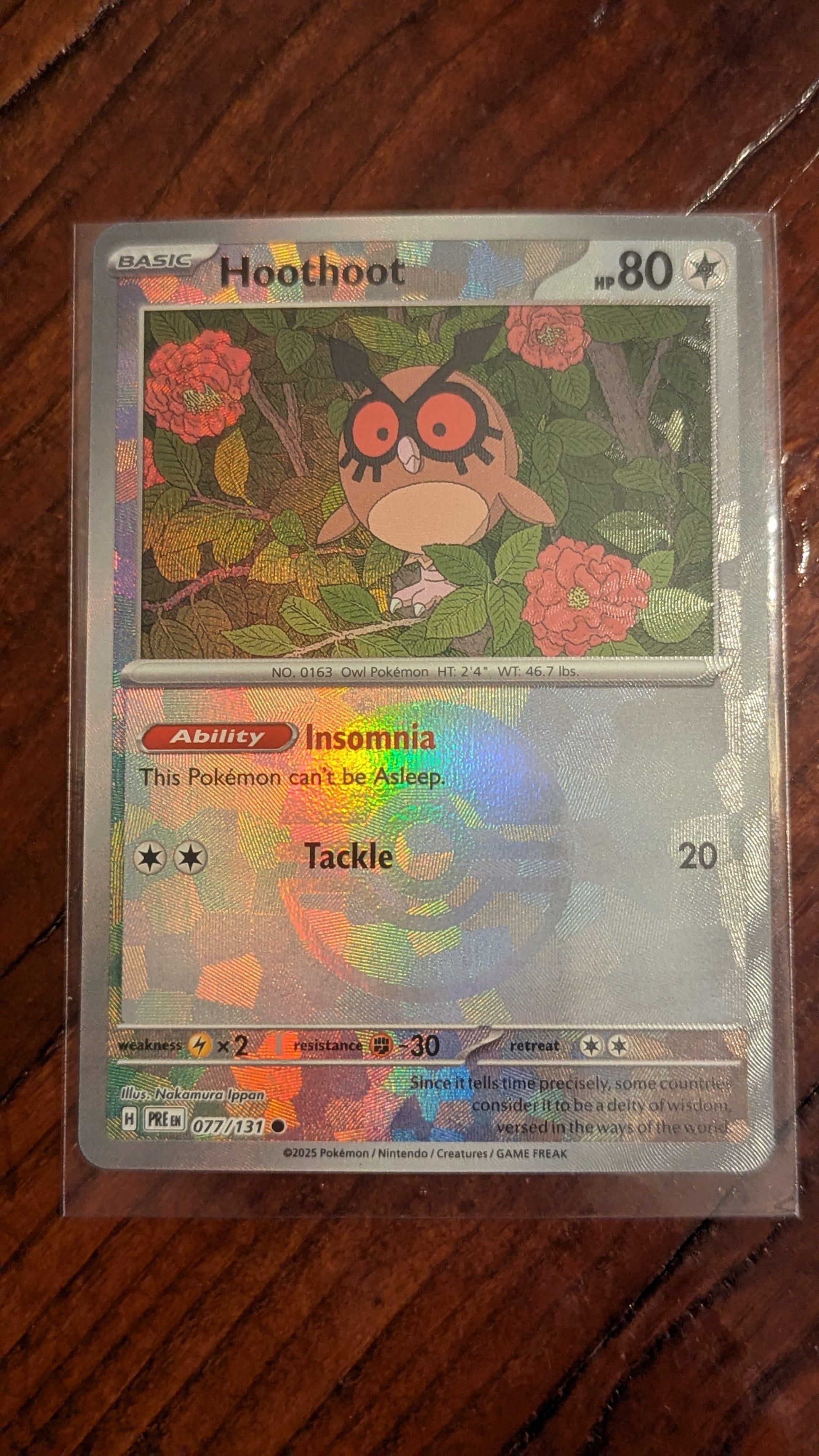 NM, Hoothoot, 077/131, Pokeball, 2025, Holographic Pokemon Card | Crystal Arborist