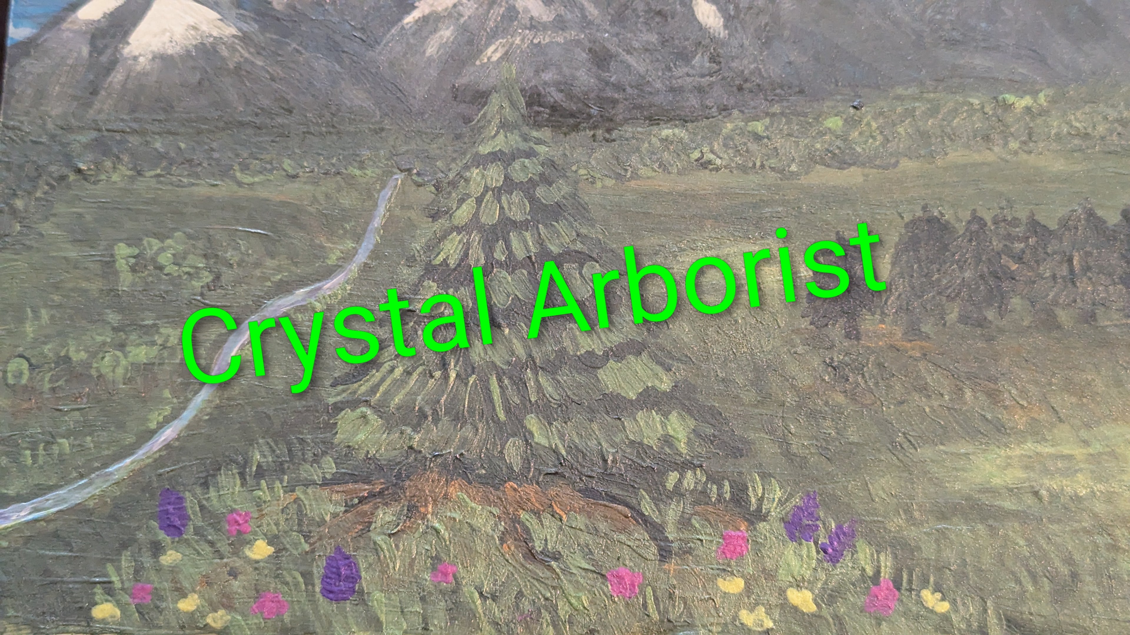 Pines and Distant Mountains - Crystal Arborist